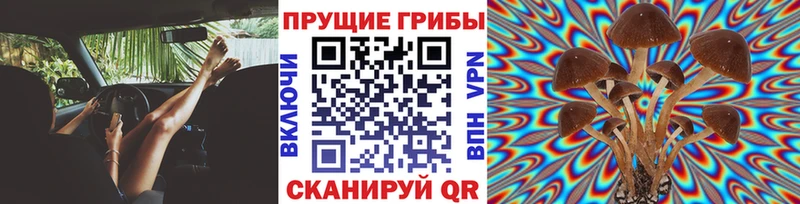 Псилоцибиновые грибы прущие грибы  мега ссылка  Никольское 